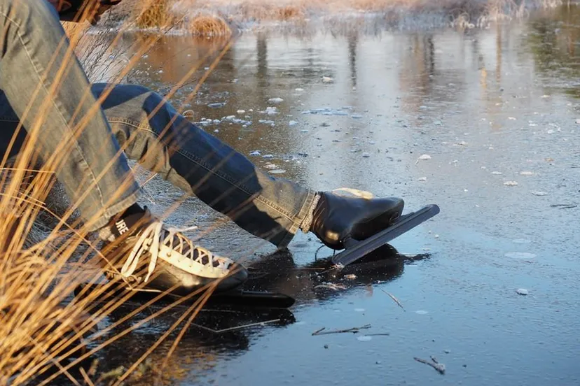 12573145 491182101067877 8749126487139205494 n