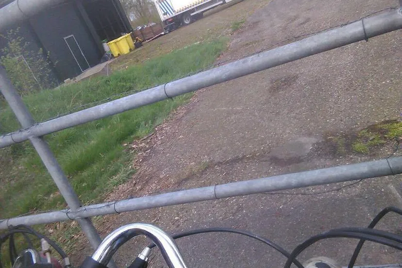 13000410 943311155782487 1321971645 o