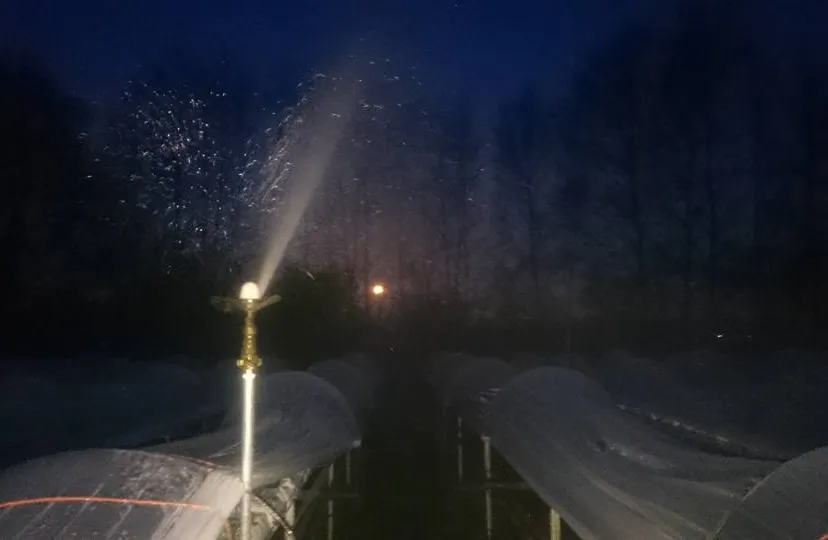 13015486 1101673743222633 1220343434526313670 n