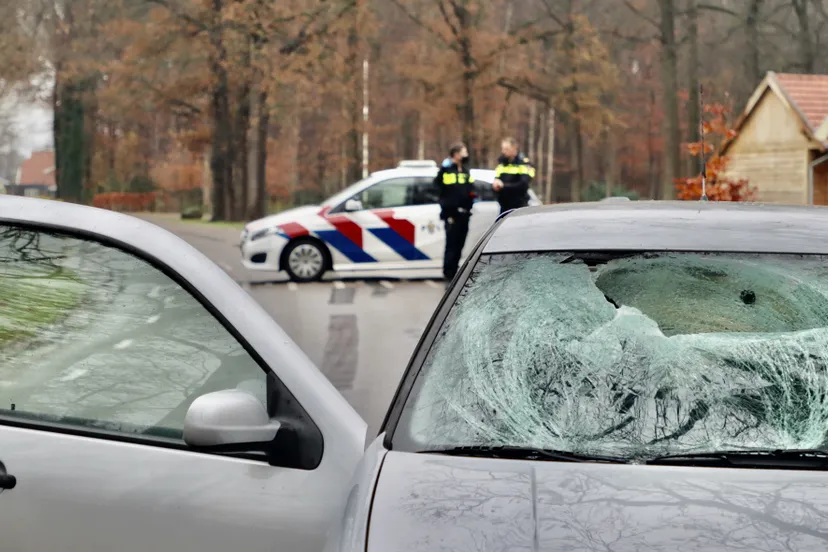 130afe6d c774 4b12 9c05 deaa2d55fc5d