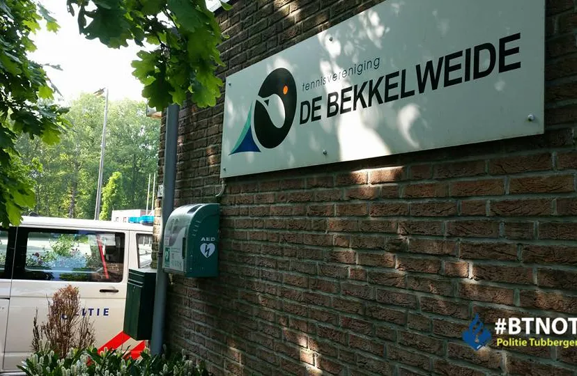 13260227 243554449340502 5006137303330694093 n