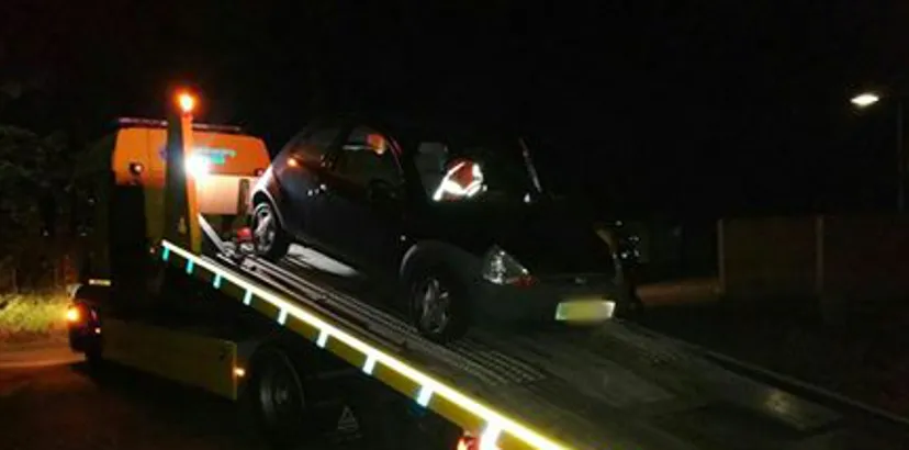 14718889 1227802293938312 6563968528276819802 n