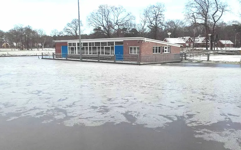 16003103 1311242615602146 3422838562687299824 n