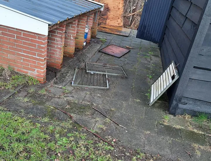 160718107 2857075601228537 7621549514215417511 n