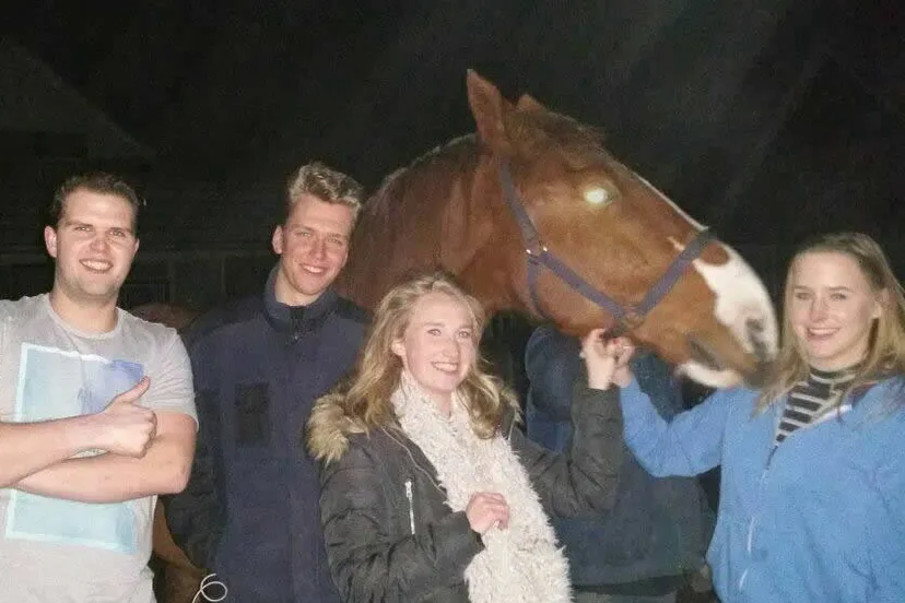 16112965 377784732584139 5035388466906119699 o