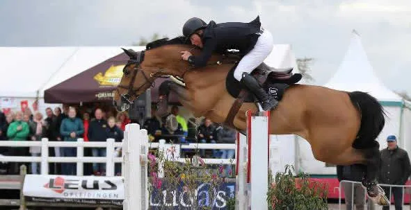 17992025 1888788914692805 2030850445860635096 n