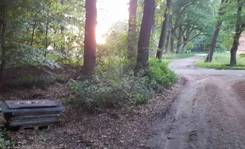 19030241 1067039503430887 739906236102642360 n