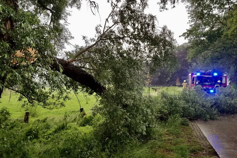 1c262432 8673 49d1 a0fc af1985b524fc