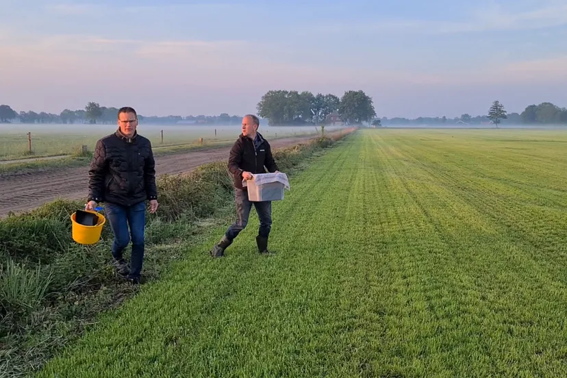 2020 05 10 kuikens redden voor verdrinking01