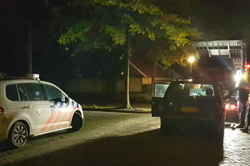 22096142 523790521316892 5566405644503477429 o