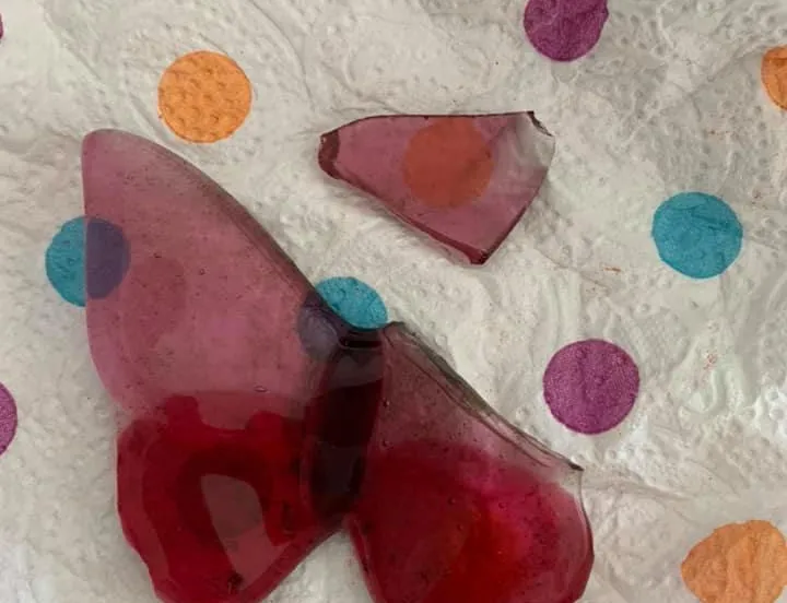 228749386 10214994523575523 4733419315462930357 n