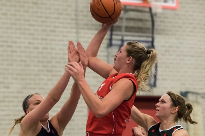 25188735 2284702204888606 1619209341143217932 o