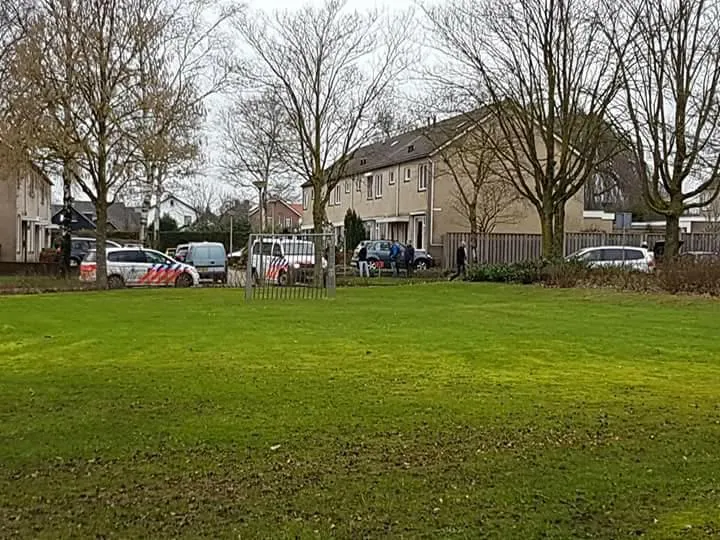 27153356 1669059673132220 1497290353 n