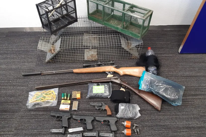 275071313 321916046647484 2015097189456591047 n