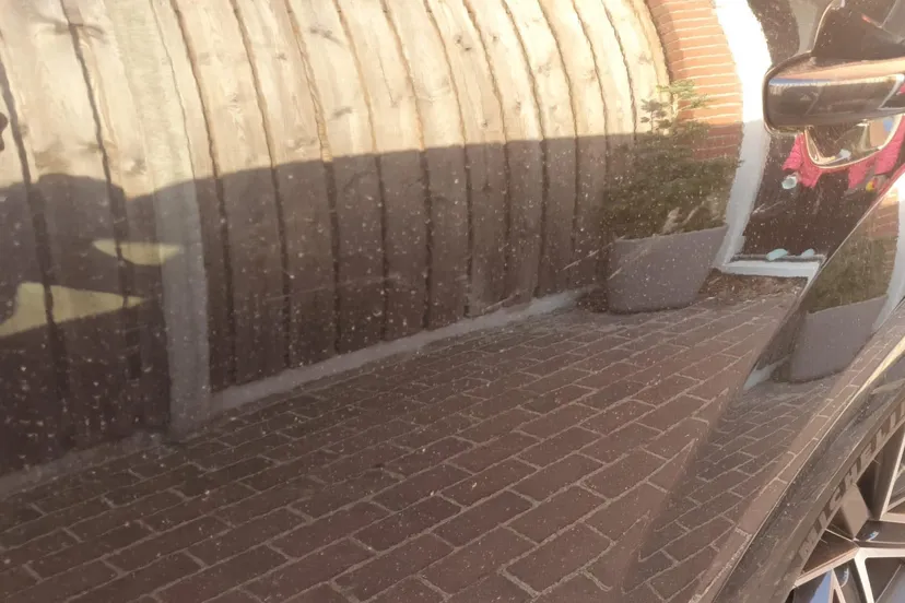 275292092 496951022071748 8539067481951956857 n