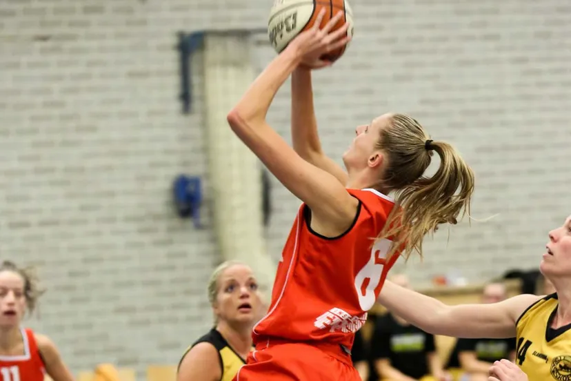 28 oktober grasshoppers 3