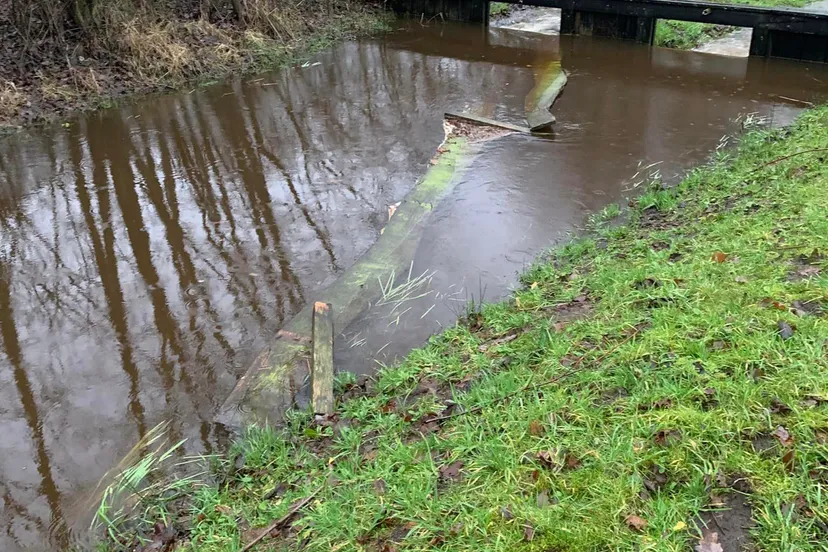 322703725 1061934891181403 8372533620941505636 n