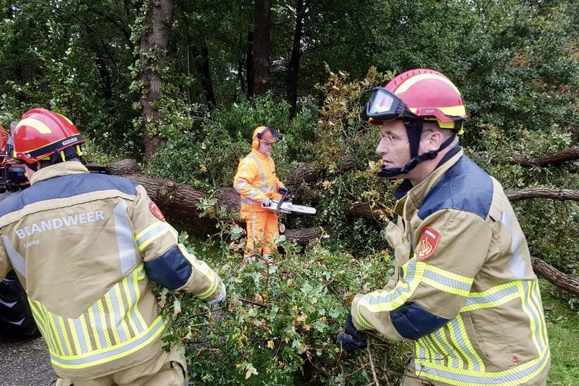 3acfc113 9d1f 4412 bf73 5928d94acedc