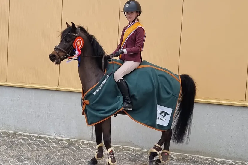 432426302 7320027248077088 9121829423291824117 n