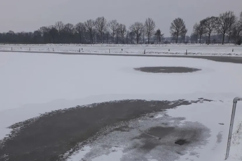 50614965 2134719189921147 4268391739179401216 o e1548239330766