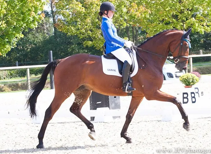 533742 4119446177272 930569346 n