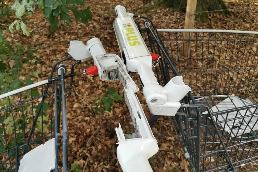 66621872 2247598425550978 8419603971521380352 n