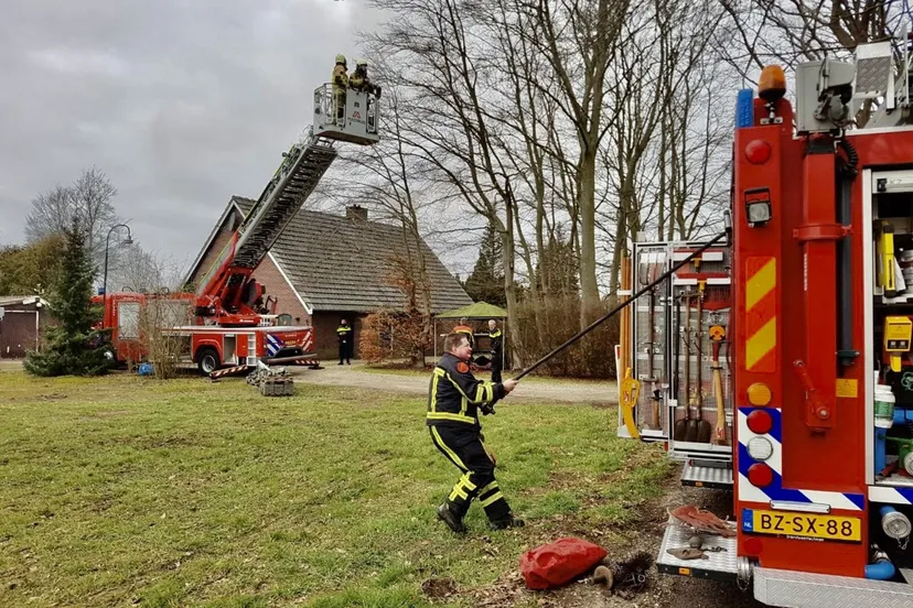 6b5c00e7 8663 4cf9 a921 ec38cdae8f10