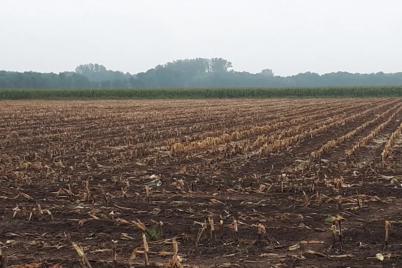 70711895 2458063090943302 7737587500201279488 o e1569318085825