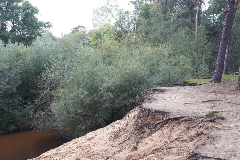 71933272 2487065451376399 9002880471851335680 o e1570371904291