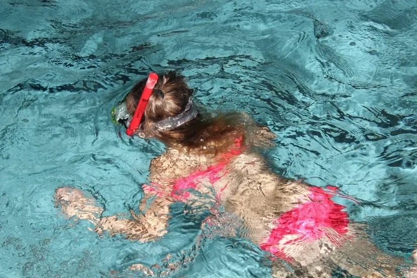 72888493 1534313276710342 4602805752636112896 o