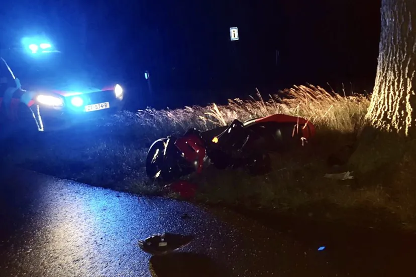 82d46196 7825 4f8d 9b2d f75537775a3d