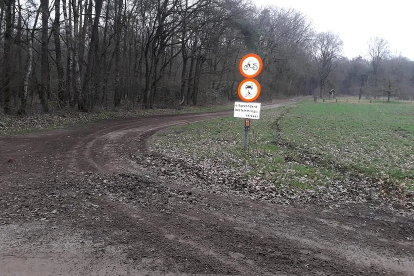 85110827 1087011908328081 6802881627362951168 n