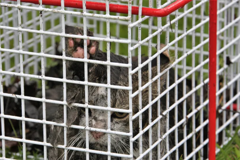 8cb8645f 893c 4ae4 82ef 3602270eb422