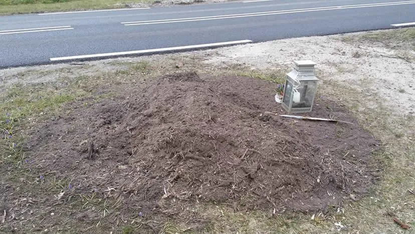 970617 1119940121370046 2772698122735052237 n