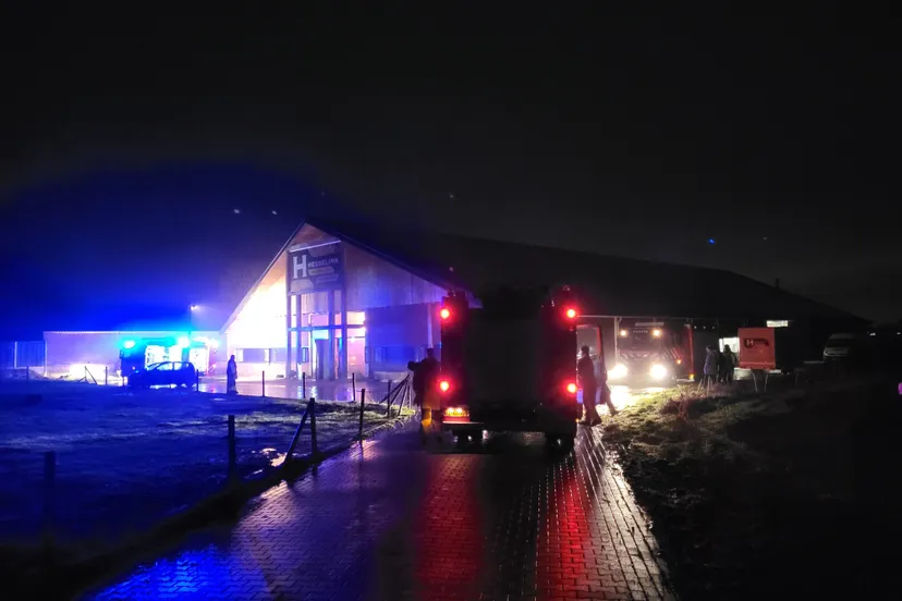 9e2315d8 9c74 47cd 86e6 ccf25c6cf539