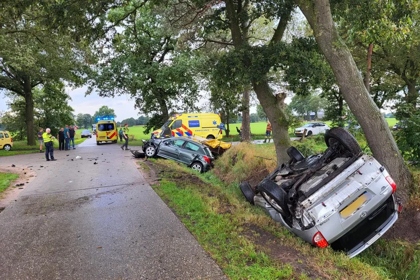 afbeelding van whatsapp op 2023 08 26 om 17572201