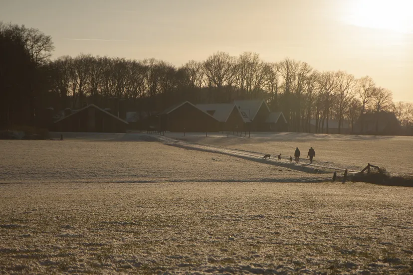 agdu32g8teverwm6oqbhs163k mander