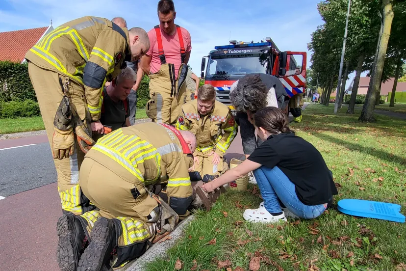 albergen1 10 2023 kitten in put albergen foto clemens brughuis 3