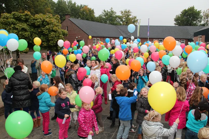 arcaxz53yjs8jrqi6zc3zcf8y 183159