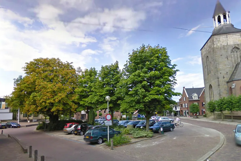 avsr29ghxr1hepduboozxy3ul kastanjeboom