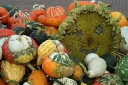 b2nh4hf8ful8yvrpqhc9e4e8q 76510