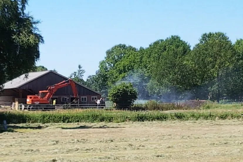 b54cf020 5131 4adb a9c0 1d8e972decc6