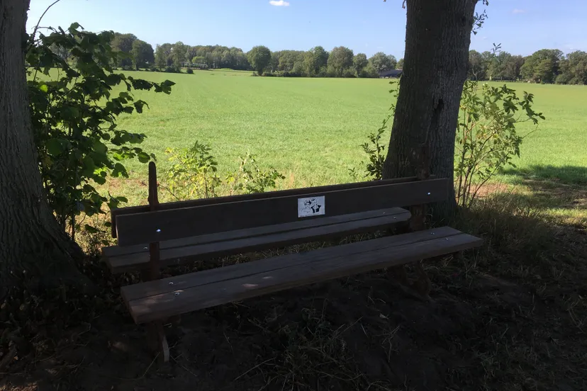 bankje alberger esch