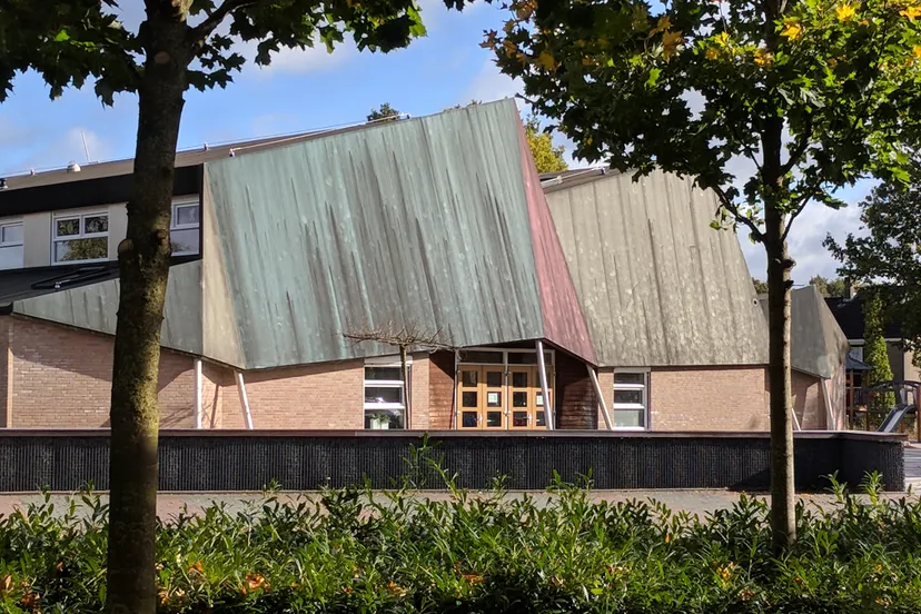 basisschool de wiekslag smerig dak