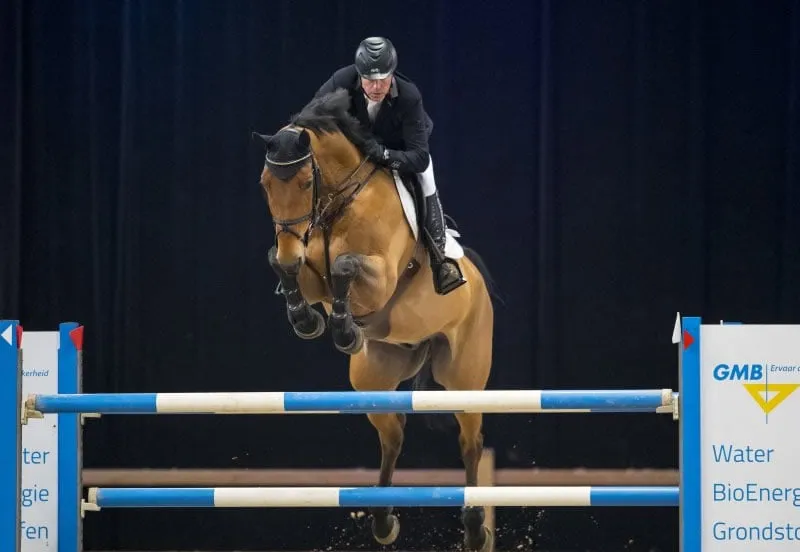 ben schrder eindelijk weer in de schijnwerpers 1