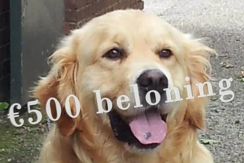 biko met kenmerk zwarte vlek op zn tong1