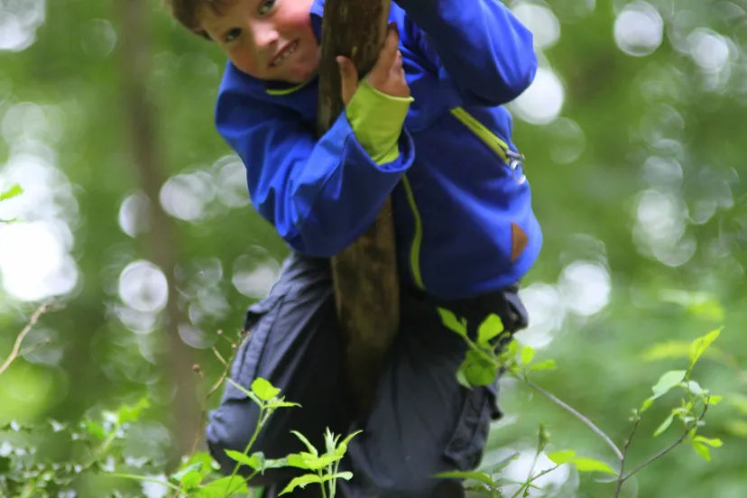 boomklimmen saskia van tongeren