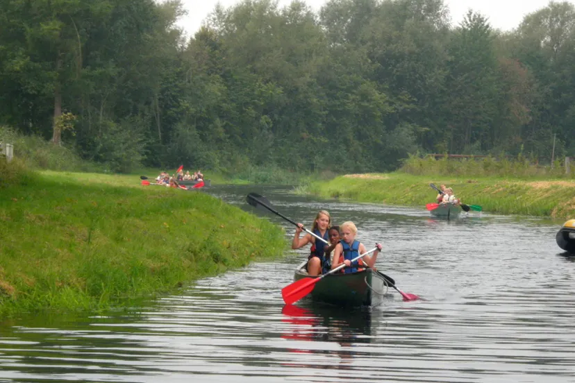 bxtqjrpapfvpxuyd3budsa5fg p9060285