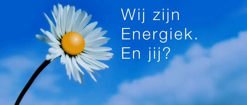 c3dxpwc7speooz3beqp4kkldy energiek vasse 2