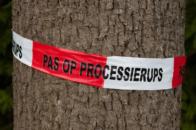 c3h6ciwl2ti1av7x1fdt2jgjg processierups peter van veen